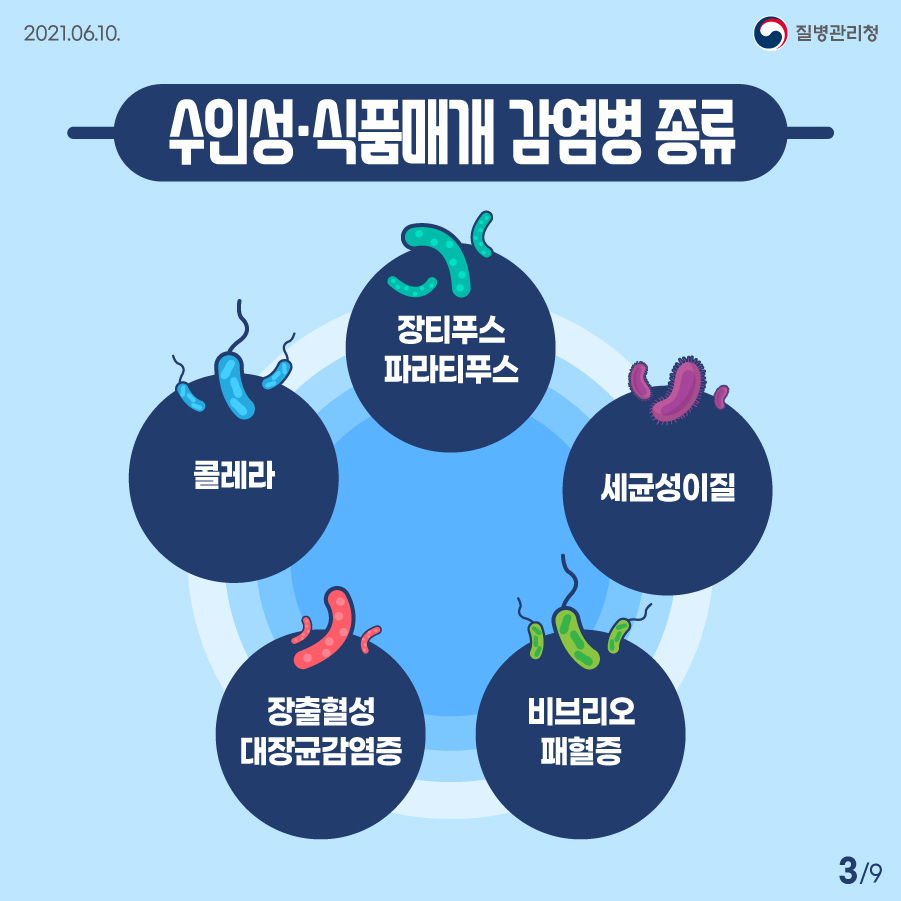 2021년 6월 10일 질병관리청 수인성·식품매개 감염병 종류 장티푸스·파라티푸스, 콜레라, 세균성이질, 장출혈성 대장균감염증, 비브리오 패혈증 9페이지 중 3페이지